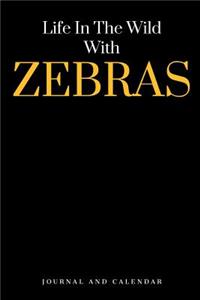 Life in the Wild with Zebras