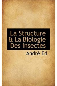 La Structure & La Biologie Des Insectes