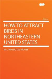 How to Attract Birds in Northeastern United States