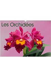 Orchidees 2018