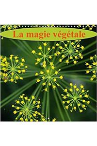 Magie Vegetale 2018