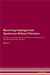Reversing Impingement Syndrome: Kidney Filtration The Raw Vegan Plant-Based Detoxification & Regeneration Workbook for Healing Patients. Volume 5
