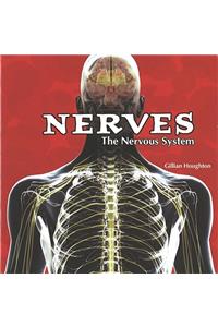 Nerves: The Nervous System