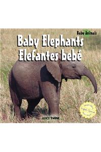 Elephants / Elefantes Bebé