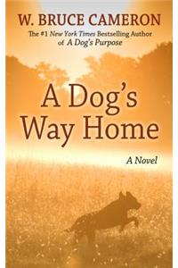 A Dog's Way Home