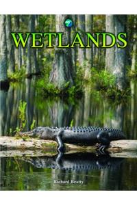 Wetlands