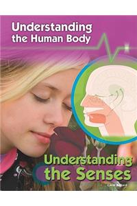 Understanding the Senses