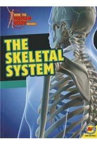 Skeletal System