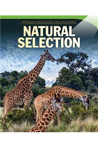 Natural Selection