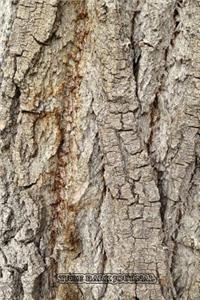 Tree Bark Journal