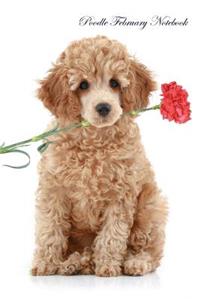 Poodle February Notebook Poodle Record, Log, Diary, Special Memories, To Do List, Academic Notepad, Scrapbook & More