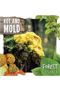 Rot and Mold