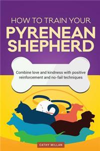 How to Train Your Pyrenean Shepherd (Dog Training Collection)