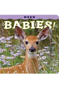 Deer Babies!
