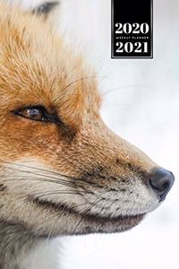 Fox Week Planner Weekly Organizer Calendar 2020 / 2021 - Hunting Eyes