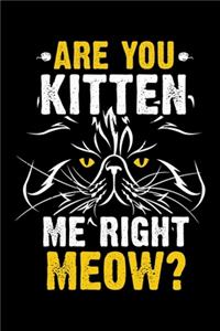 Are You Kitten Me Right Meow?