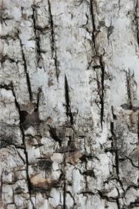 2020 Daily Planner Tree Bark Dry Cracked Photo 388 Pages