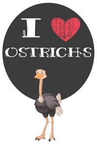 I Heart Ostrichs