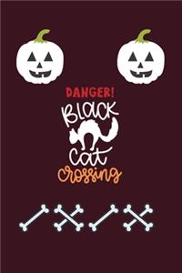 Danger Black Cat Crossing
