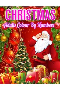 Christmas Adults Colour By Numbers