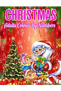 Christmas Adults Colour By Numbers