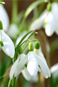 Snowdrop Notebook