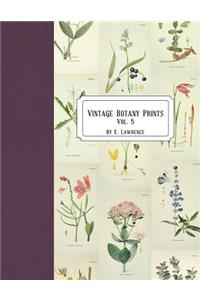 Vintage Botany Prints