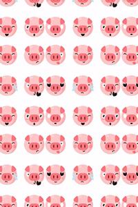 Pig Notebook