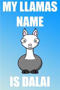 My Llamas Name Is Dalai