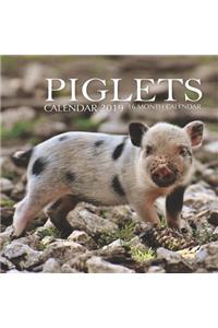 Piglets Calendar 2019