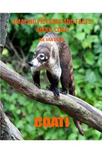 Coati: Amazing Pictures and Facts about Coati