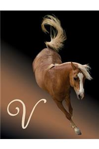 Horse Initial 'v' Monogram Notebook