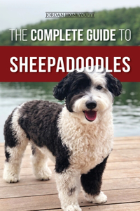 The Complete Guide to Sheepadoodles