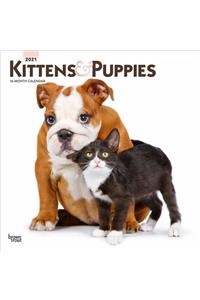 Kittens & Puppies 2021 Square Foil