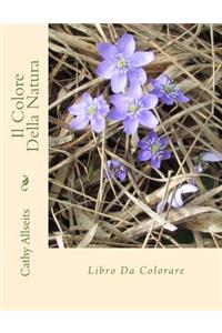 Il Colore Della Natura