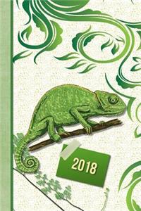 Lizard 2018 Diary