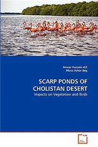 Scarp Ponds of Cholistan Desert