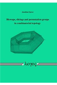 Blowups, Slicings and Permutation Groups in Combinatorial Topology