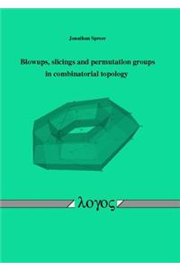 Blowups, Slicings and Permutation Groups in Combinatorial Topology