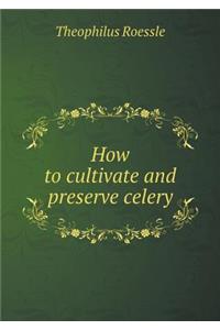 How to cultivate and preserve celery