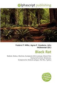 Black Rat