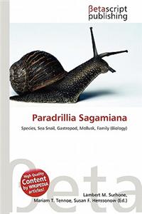 Paradrillia Sagamiana