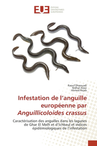 Infestation de l'anguille européenne par Anguillicoloides crassus