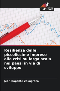Resilienza delle piccolissime imprese alle crisi su larga scala nei paesi in via di sviluppo