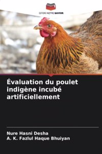 Évaluation du poulet indigène incubé artificiellement