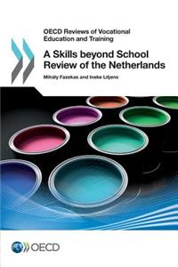 OECD Reviews of Vocational Education and Training A Skills beyond School Review of the Netherlands