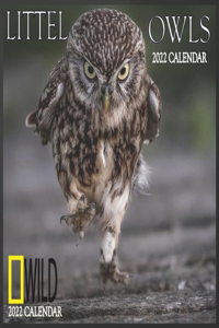 LITTEL OWLS calendar 2022