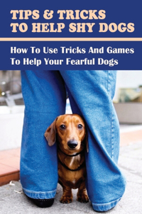 Tips & Tricks To Help Shy Dogs