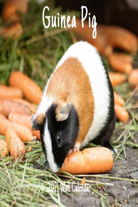 Guinea Pig 2021 Wall Calendar