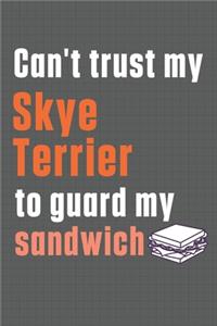 Can't trust my Skye Terrier to guard my sandwich